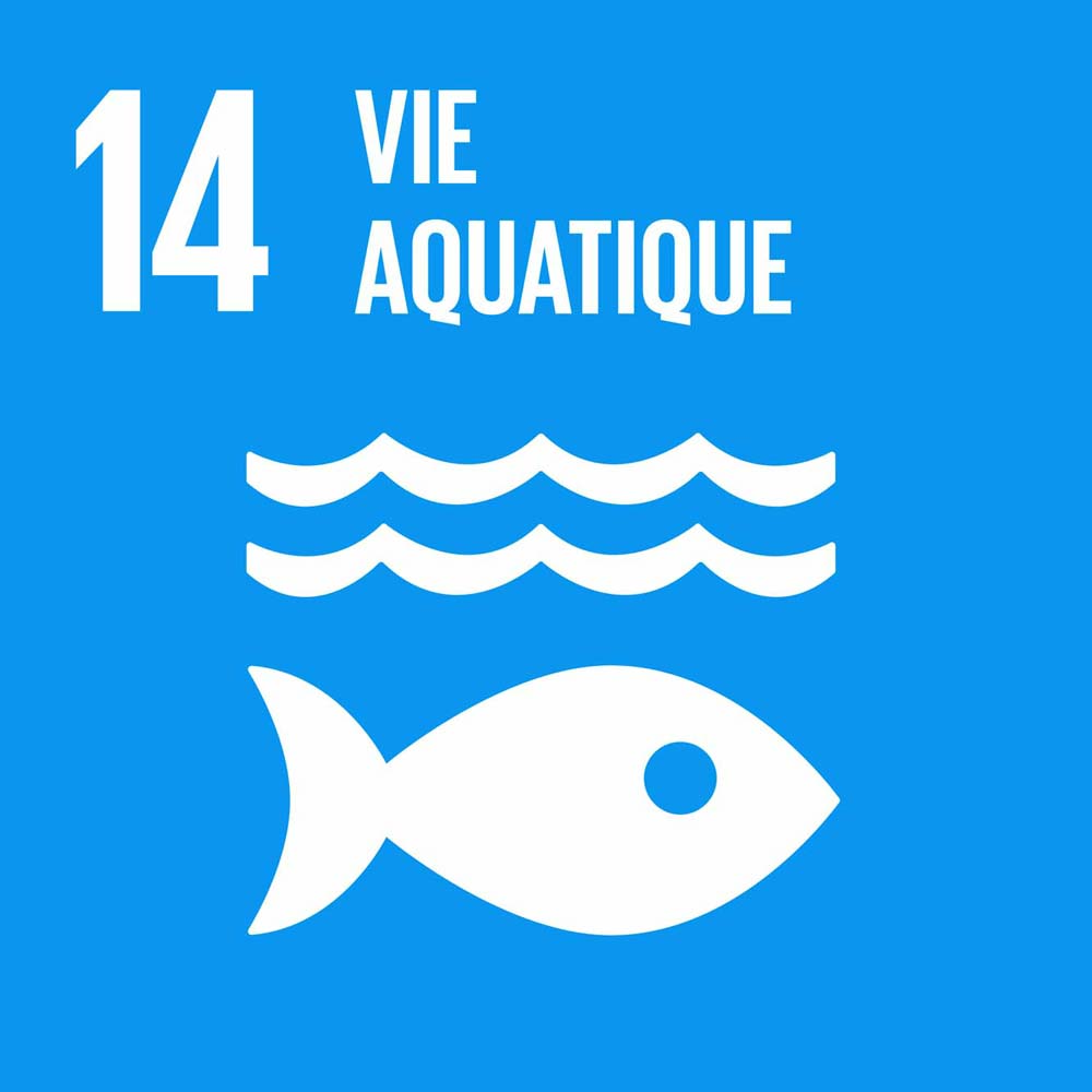 14 vie aquatique