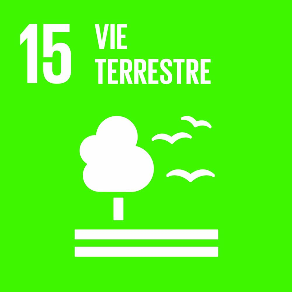 15 vie terrestre