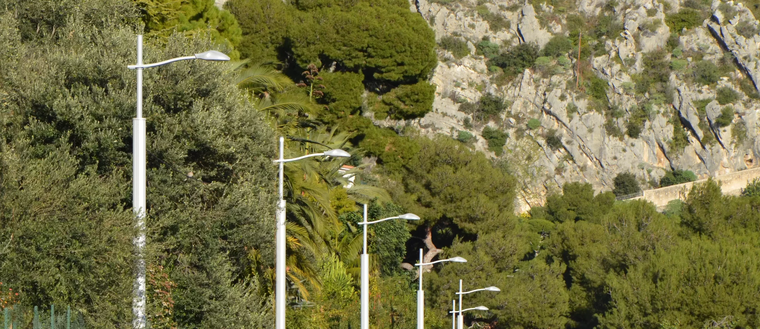 EZE R-light Tillandsia Eliptika