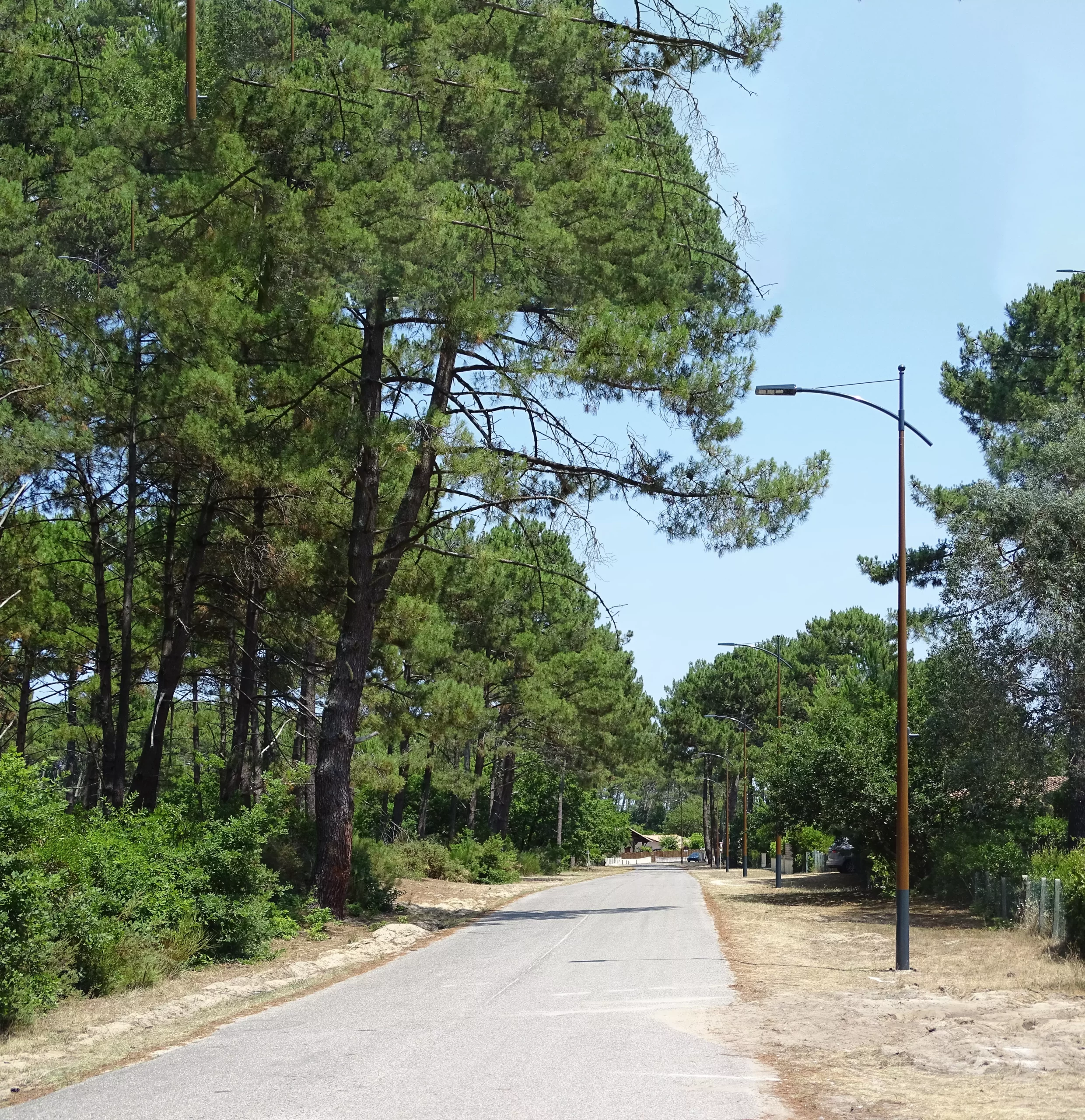 SPRINT LAT CONSOLE MAT LEGE CAP FERRET